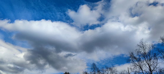 Similar image 21938591