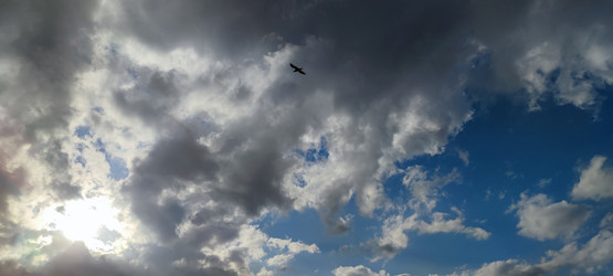 Similar image 21938597