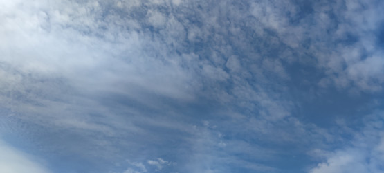 Similar image 21938605