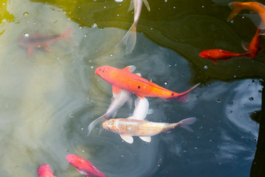 Similar image 21939161