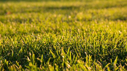 Similar image 21939164