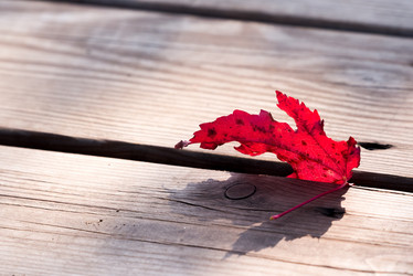 Similar image 21939327