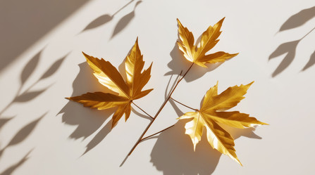 Similar image 21936105