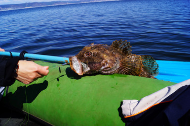 Similar image 21935802