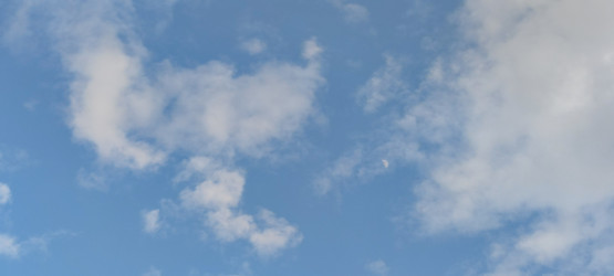 Similar image 21938322