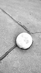 Similar image 21938334