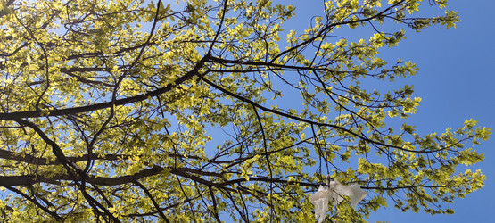 Similar image 21938348