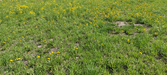 Similar image 21938349