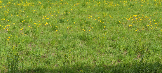 Similar image 21938353