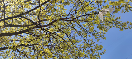 Similar image 21938354