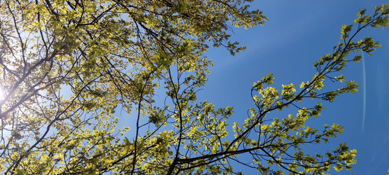 Similar image 21938355