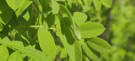 Similar image 21938356