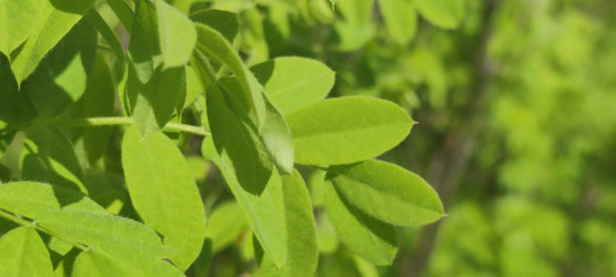 Similar image 21938357