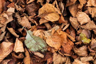 Similar image 21939057