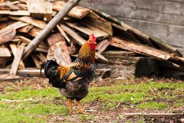 Similar image 21939059