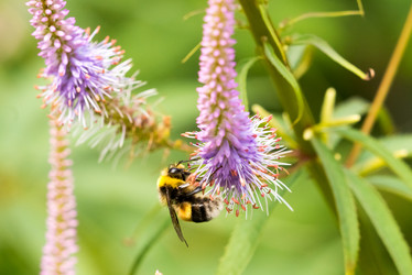 Similar image 21939060