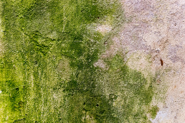 Similar image 21939069