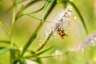 Similar image 21939072