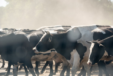 Similar image 21939077