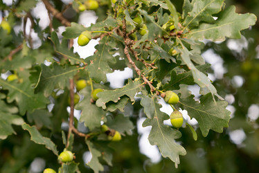 Similar image 21939174