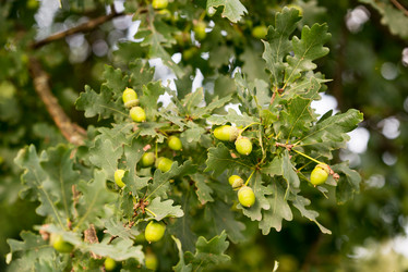 Similar image 21939182