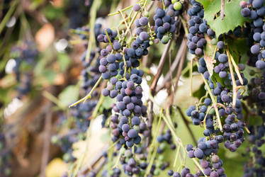 Similar image 21939183