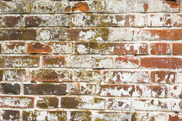 Similar image 21939188