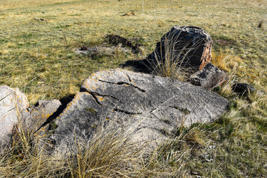 Similar image 21936110