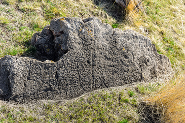 Similar image 21936112