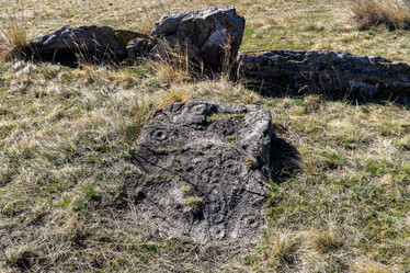 Similar image 21936115