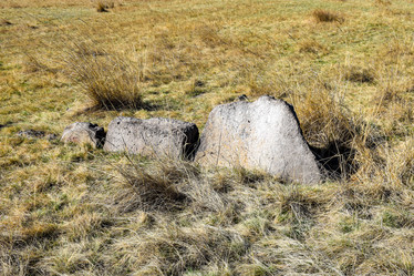 Similar image 21936120