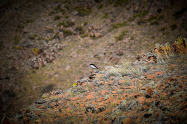 Similar image 21936129