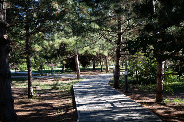 Similar image 21937385