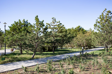 Similar image 21937386