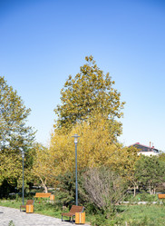 Similar image 21937390