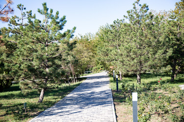 Similar image 21937391