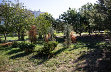 Similar image 21937139