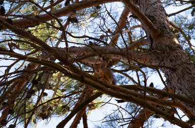 Similar image 21937140