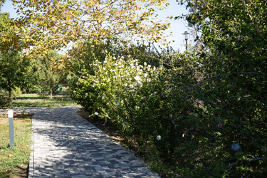 Similar image 21937142