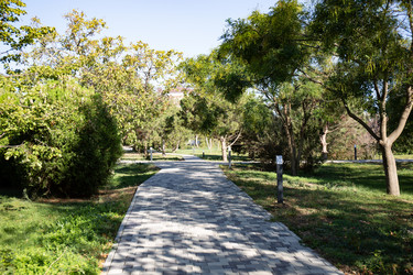 Similar image 21937143