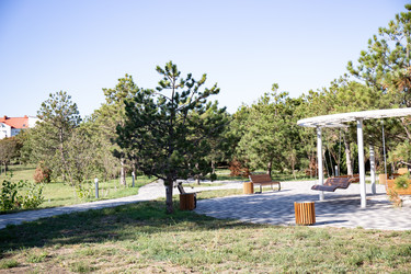 Similar image 21937145