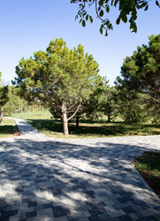 Similar image 21937147