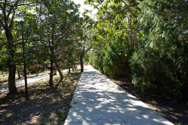 Similar image 21937149