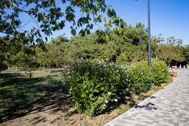 Similar image 21937150