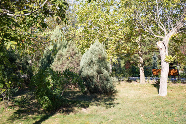 Similar image 21937152