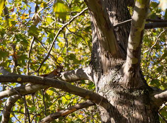 Similar image 21937158