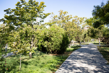 Similar image 21937159