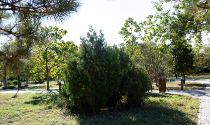 Similar image 21937314