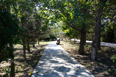 Similar image 21937315