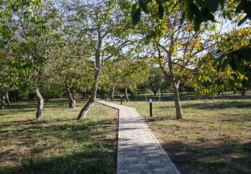 Similar image 21937317